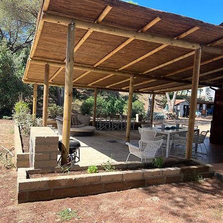 Tenuta Le Marze Кастильоне дела Пеская Екстериор снимка