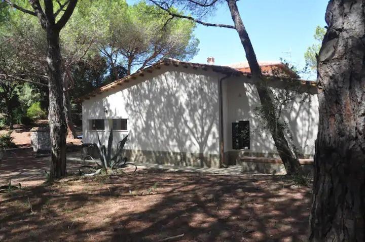 Tenuta Le Marze Кастильоне дела Пеская Екстериор снимка
