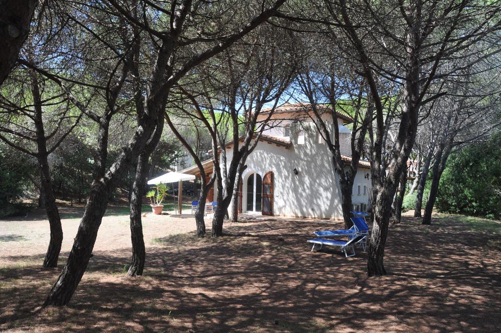 Tenuta Le Marze Кастильоне дела Пеская Екстериор снимка